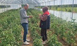Bayburt'ta ekili alanlarda sağlıklı üretim mesaisi
