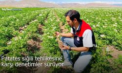 Bayburt’ta patates üretim alanlarına denetim