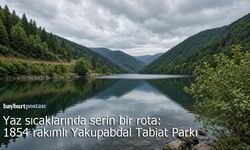 Yaz sıcaklarında serin bir rota: 1854 rakımlı Yakupabdal Tabiat Parkı