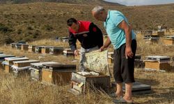 Aydıntepe’de 2026 yılı arılı kovan tespitleri başladı