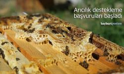 Bayburt’ta arıcılık destekleme başvuruları başladı