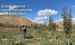Bayburt’ta DOKAP destekli meyve bahçelerinde saha kontrolleri sürüyor