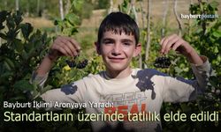 Bayburt İklimi Aronyaya Yaradı: Standartların Üzerinde Tatlılık Elde Edildi
