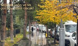 Bayburt'ta sağanak yağış ve sis gün boyu etkili olacak!