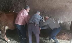 Aydıntepe’de Yavru Atık Alarmı