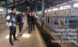 Yelpınar’da Yüzde 50 Hibe Destekli 240 Başlık Tesise İnceleme