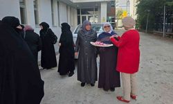 Dağçatı, Güneydere ve Akşar köylerinde kanser taramaları
