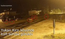 Yukarı Kırzı köyünde kurt sürüsü!