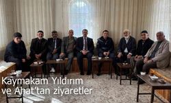 Kaymakam Yıldırım ve Ahat köylerde