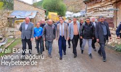 Vali Mustafa Eldivan yangın mağduru Heybetepe köyünde