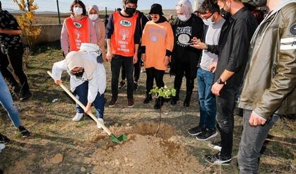 Bayburt Üniversitesi'nde Fidan Dikimi Etkinliği