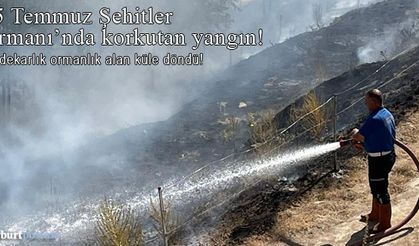 Bayburt 15 Temmuz Şehitler Ormanı'nda korkutan yangın!