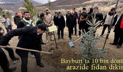 Bayburt'ta 10 bin dönüm arazide fidan dikimi