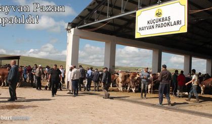 Bayburt'ta Canlı Hayvan Pazarı kapatıldı!