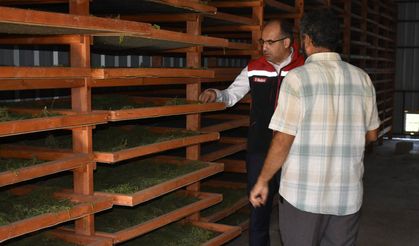 Bayburt Tarhunu Kurutma Tesisiyle Değerleniyor