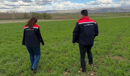 Aydıntepe’de Verim İçin Teknik Denetim