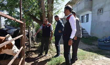 Bayburt'ta Kırsalda Bereket Projesi incelemeleri