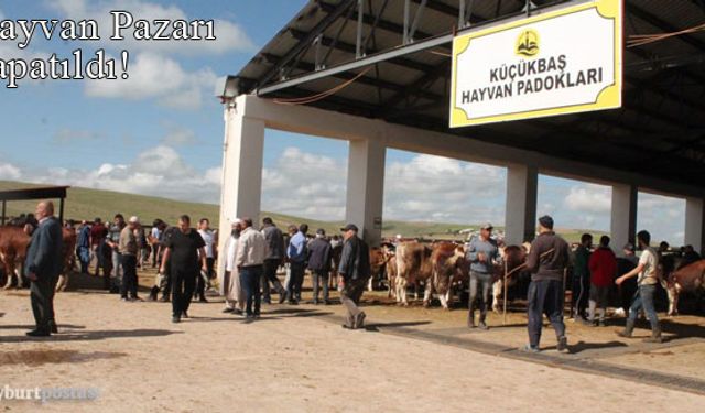 Bayburt'ta Canlı Hayvan Pazarı kapatıldı!