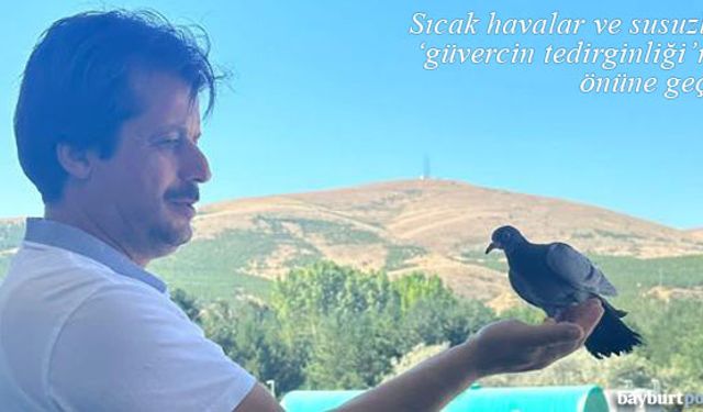Sıcak havalar ve susuzluk 'güvercin tedirginliği'nin önüne geçti!