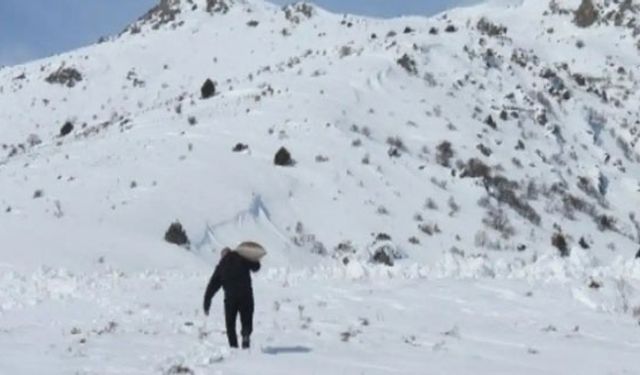 Bayburt'ta yaban hayvanları için doğaya yem bırakıldı 