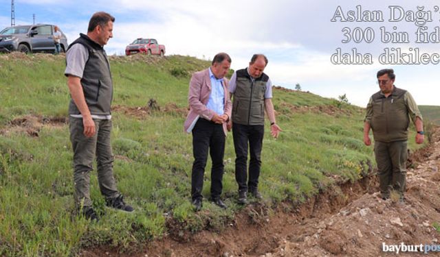 Aslan Dağı'na 300 bin fidan daha dikilecek