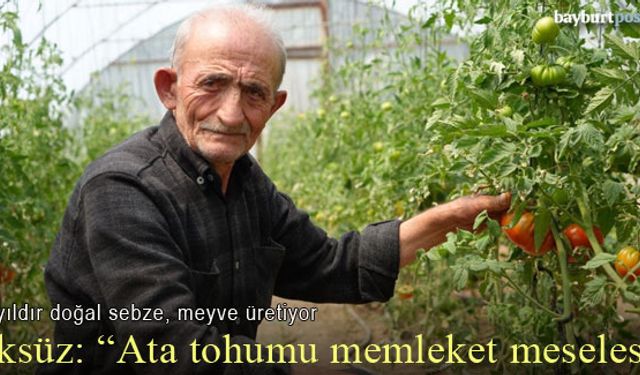 İsmail Öksüz yarım asırdır doğal sebze, meyve ekiyor, üretiyor