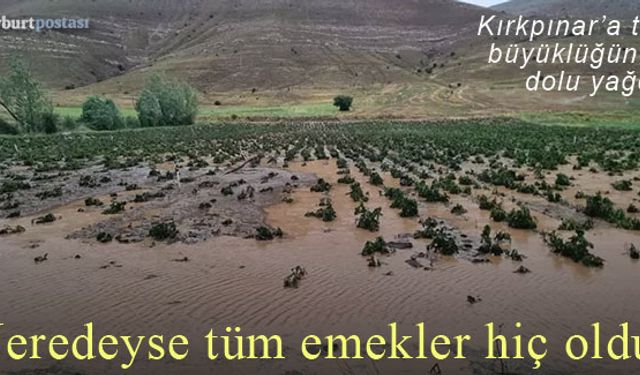 Kırkpınar'da ekili arazileri dolu vurdu!