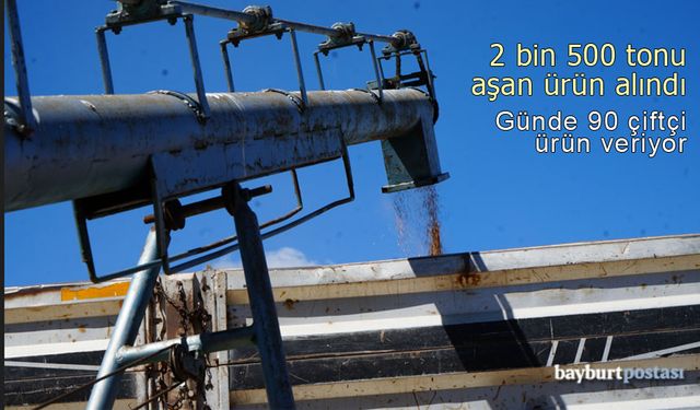 2 bin 500 tonu aşan ürün alındı, alımlar sürüyor