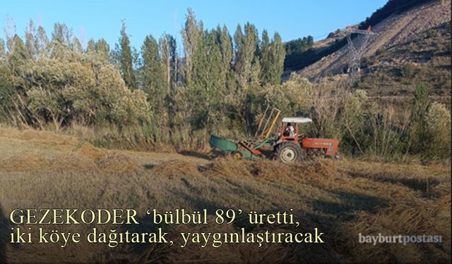 GEZEKODER "bülbül 89" ata tohumunu iki köyde yaygınlaştıracak