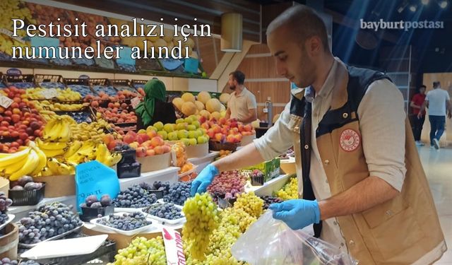 Bayburt'ta pestisit analizi için numuneler alındı