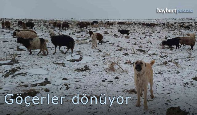 Bayburt'ta göçerlerin dönüşü başladı