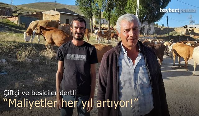 Demirözülü çiftçi Taner Keleş: "Maliyetler her yıl artıyor!"