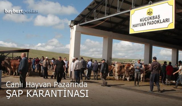 Bayburt Belediyesi Canlı Hayvan Pazarı'nda şap karantinası