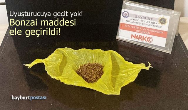 Bayburt'ta bonzai maddesi ele geçirildi!