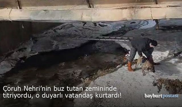 Çoruh Nehri’nin buz tutan zemininde titriyordu, o vatandaş kurtardı