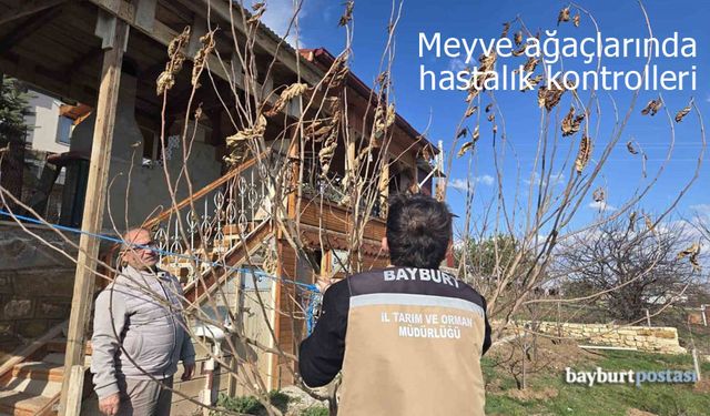 Bayburt’ta meyve ağaçlarında hastalık kontrolleri