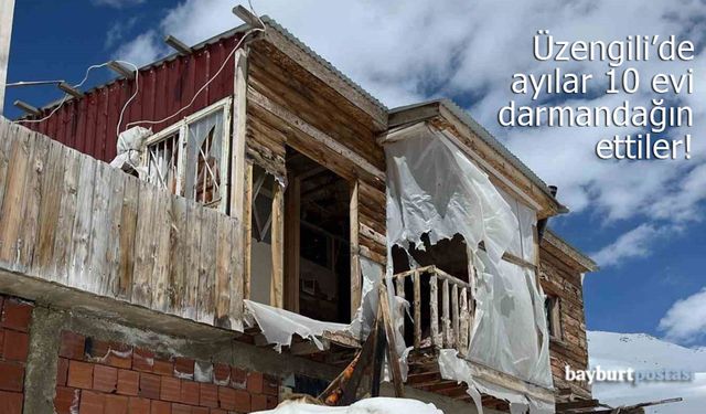 Bayburt'un Üzengili köyünde ayılar 10 evi darmadağın ettiler!