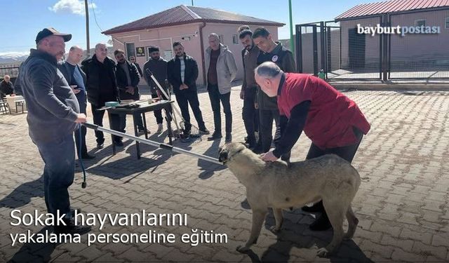 Bayburt’ta sokak hayvanlarını yakalama personeline eğitim