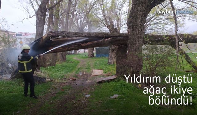 Bayburt’ta düşen yıldırım ağacı ikiye böldü!