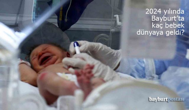 Bayburt'ta 2024 yılında kaç bebek dünyaya geldi?