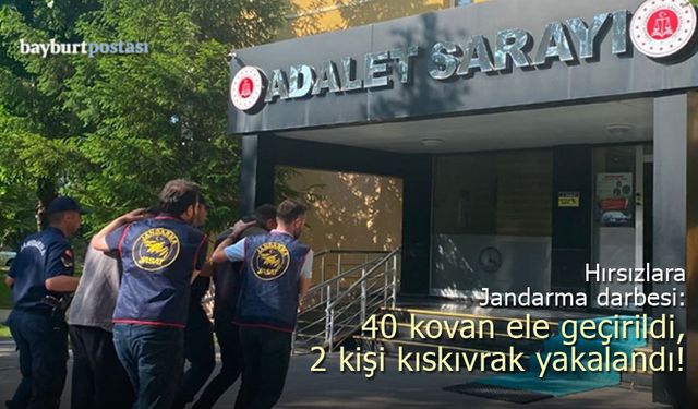 Bayburt'ta Arı Kovanı Hırsızlarına Jandarma Darbesi: 40 Kovan Ele Geçirildi!