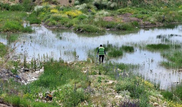 Bayburt Belediyesi'nden kene, bit ve pireye karşı ilaçlama seferberliği