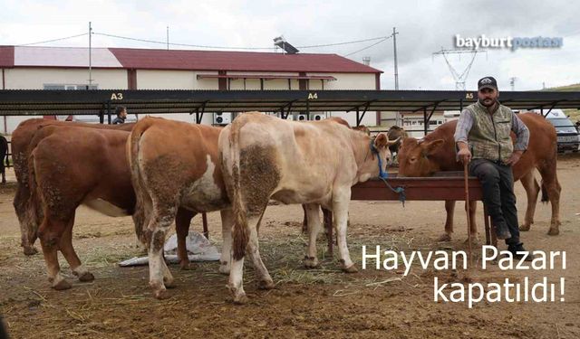 Bayburt'ta şap hastalığı tedirginliği: Hayvan Pazarı kapatıldı!