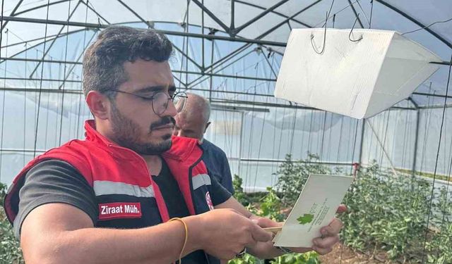 Bayburt'un üç ayrı yerinde biyoteknik mücadele