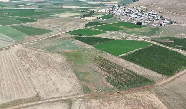 Demirözü’nde tarla içi yollar yapılıyor