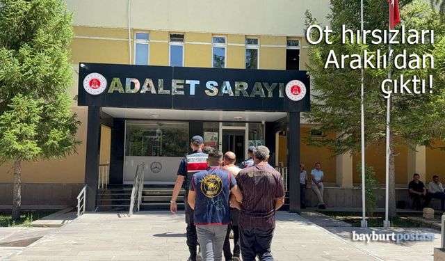 Bayburt'tan ot çalan hırsızlar Araklı'da yakalandı!