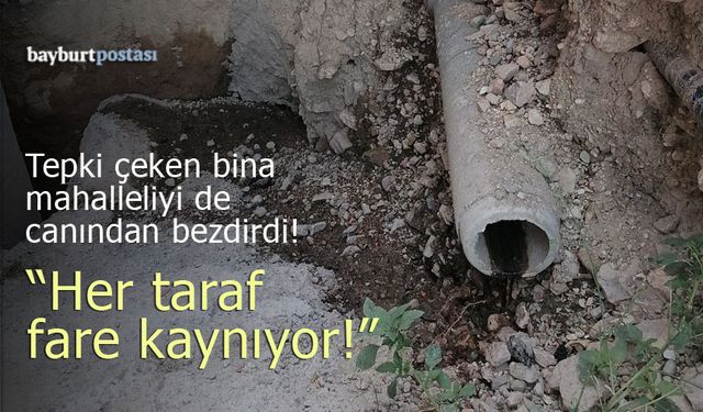 Tepki çeken bina, mahalleliyi de canından bezdirdi!