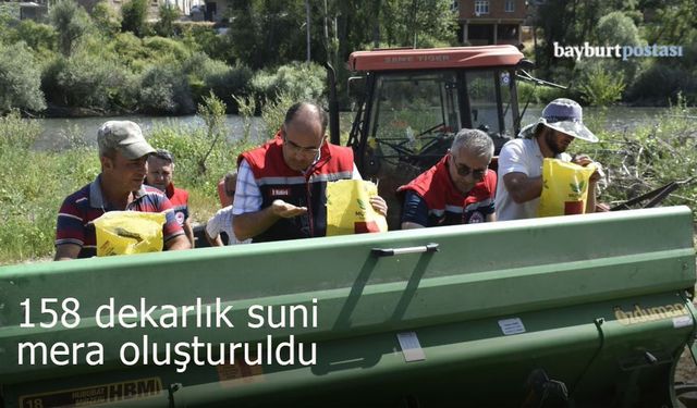 Bayburt'un o köyünde 158 dekarlık suni mera oluşturuldu