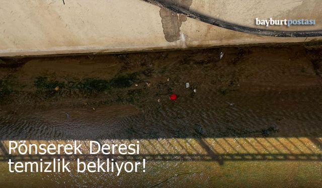 Pönserek Deresi'nin suyu yosun ve çöple kaplandı!