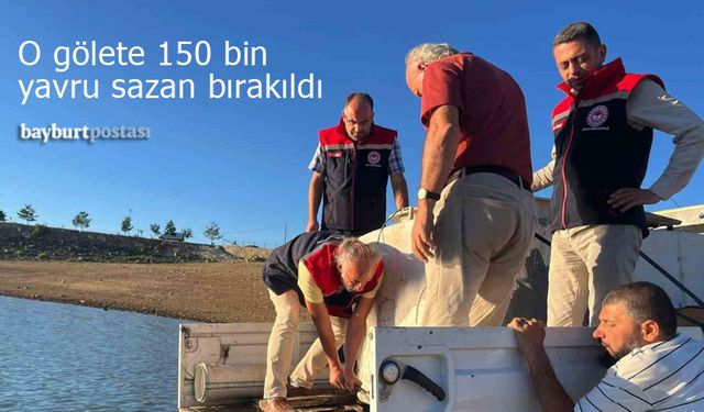 Bayburt'taki o gölete 150 bin sazan yavrusu bırakıldı